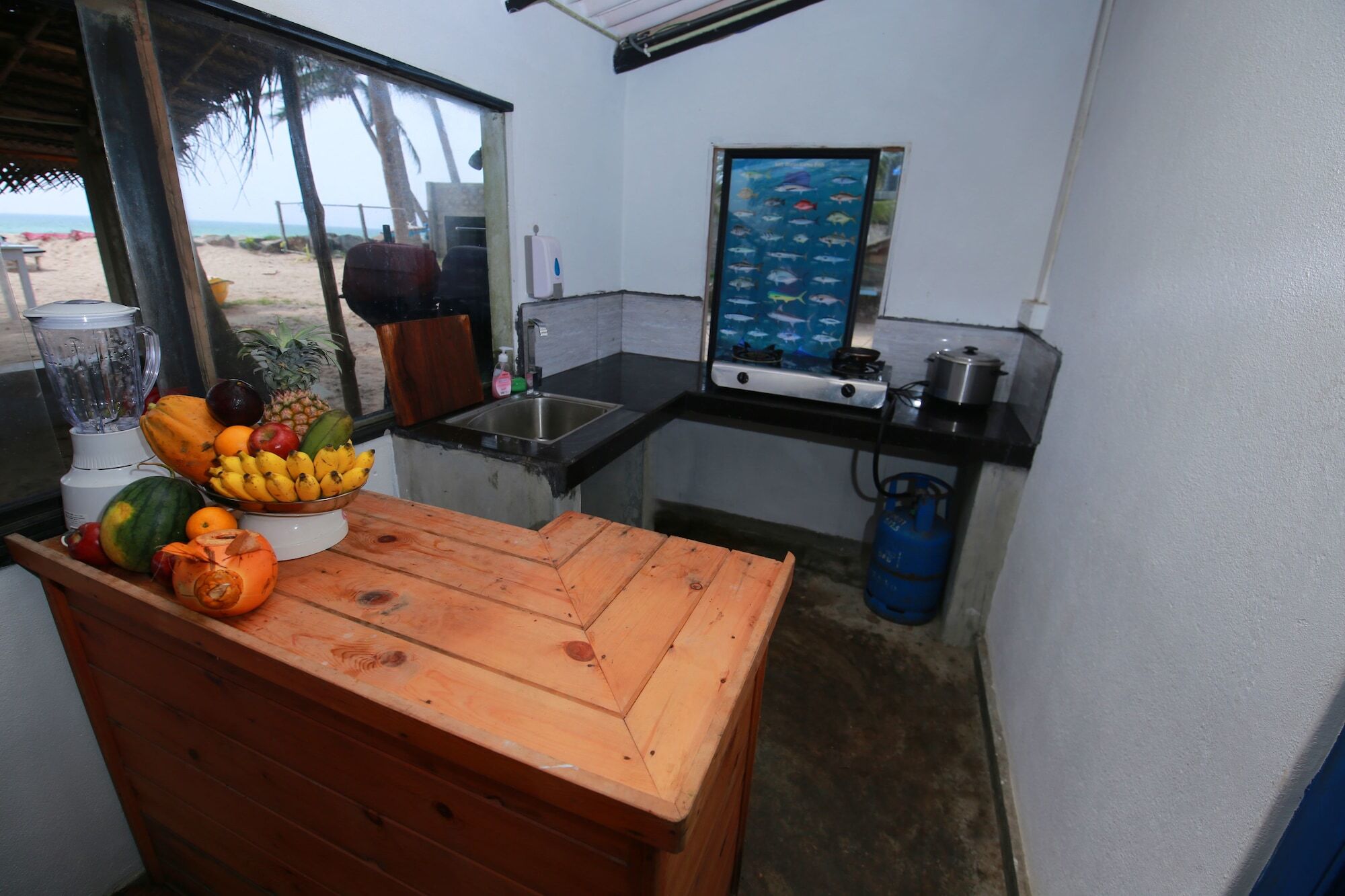 Hostel Bluefin Adventure And Deep Sea Fishing Hikkaduwa Zewnętrze zdjęcie